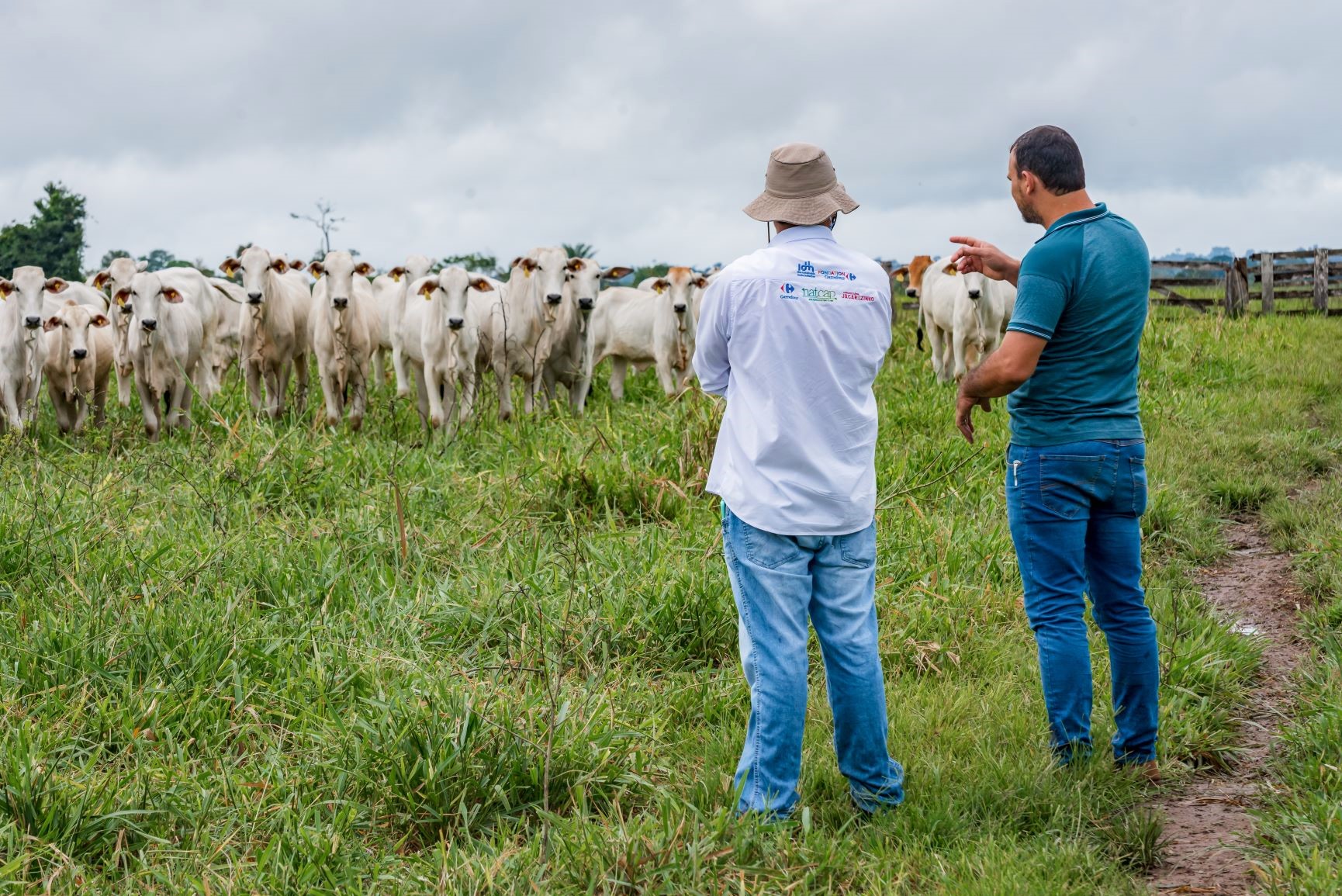 Calves-Program-Marcus_Mesquita.jpg