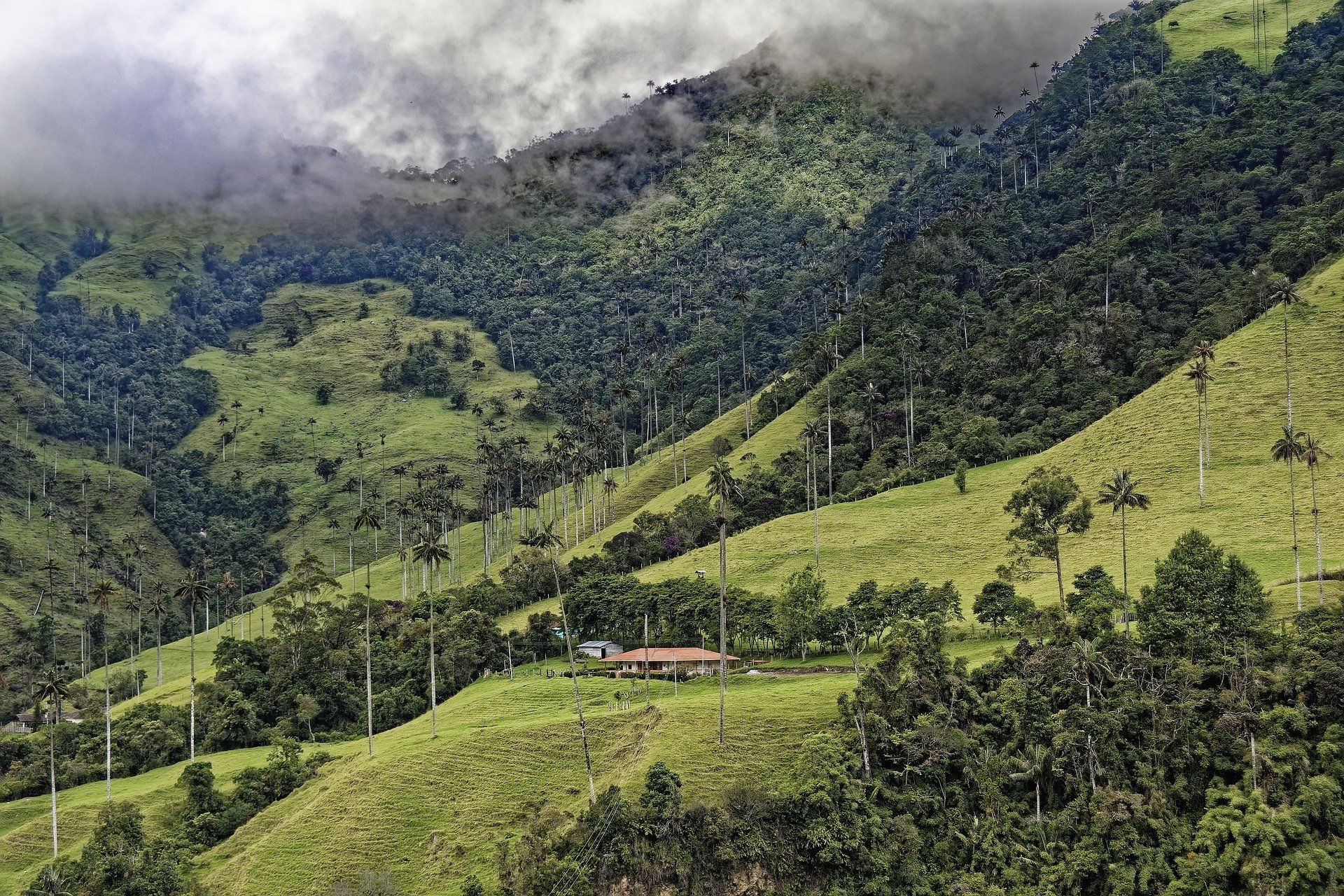 Rimisp - Centro Latinoamericano para el Desarrollo Rural