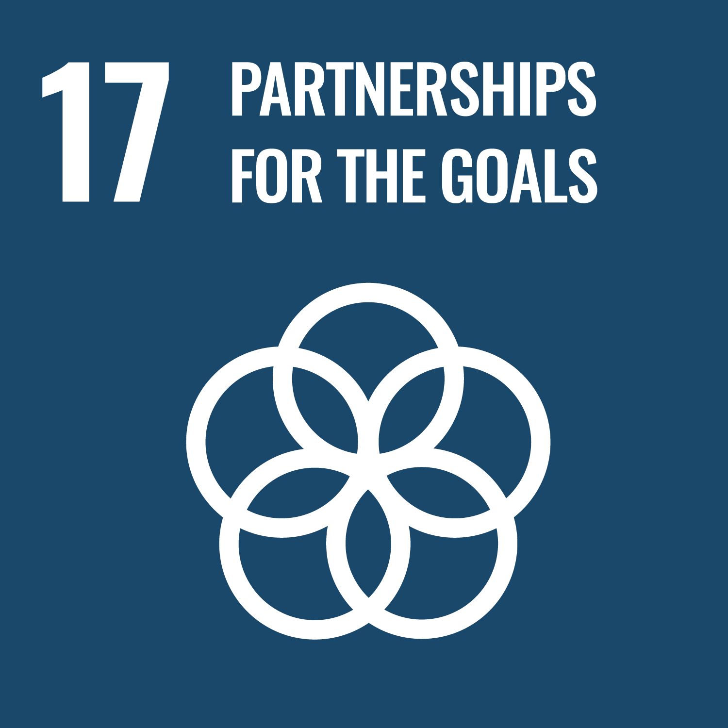 SDG 17: Partnerships