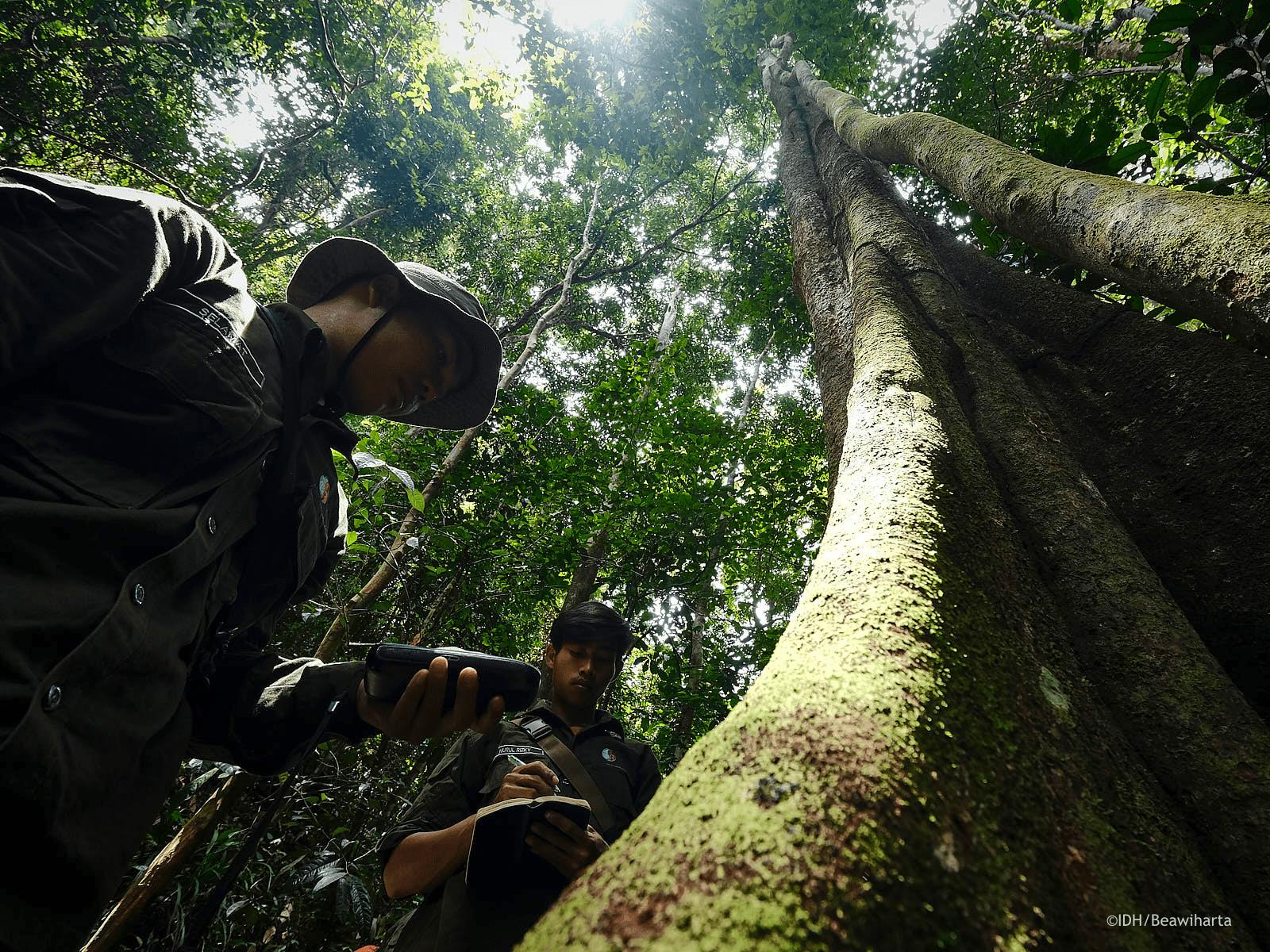 West-Kalimantan-forest-monitoring-min.png