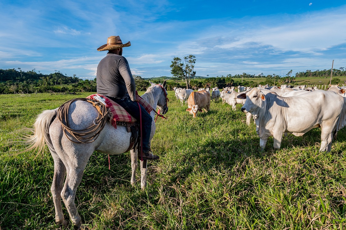 farmers juruena